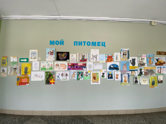 Конкурс рисунков.